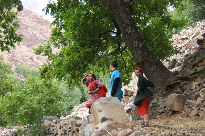 Day tour in high Atlas mountains - Price and value: $80.54 in context