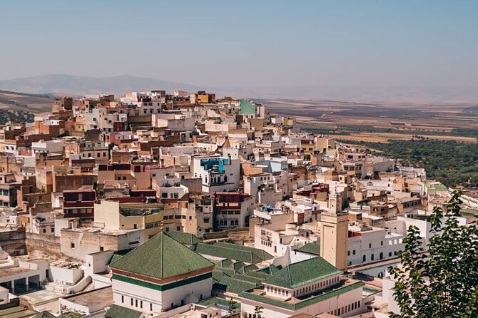 Day Tour to Volubilis & Meknes from Fes - Timing and group size: where the day can feel tight