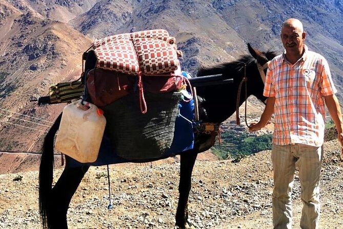 Day Trip Adventure to the Atlas: Culture, Landscapes & Home Lunch - Price and value: why this is more than a bus ride