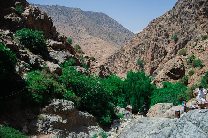 Day trip - Atlas Mountains Ourika Valley Waterfall From Marrakech - The Pace and Timing: How This 6 to 7 Hour Day Really Feels