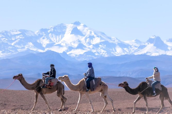 Day Trip:Berber Villages and 4 Valleys Atlas Mountains &Waterfu l& camel Ride - Key highlights to know before you go