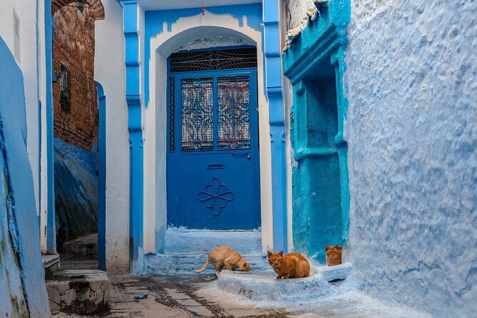 Day Trip from Fes to Chefchaouen - Arriving in Chefchaouen: What You’re Really Looking At