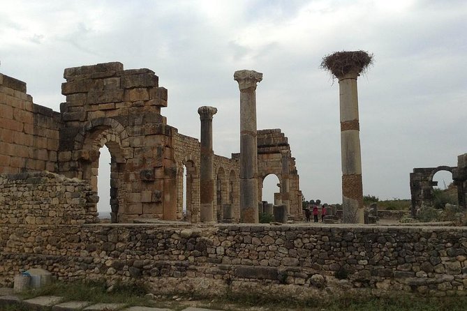 Day trip from Fes to Volubilis Moulay Idriss & Meknes - Meknes first: imperial gates and an easy start