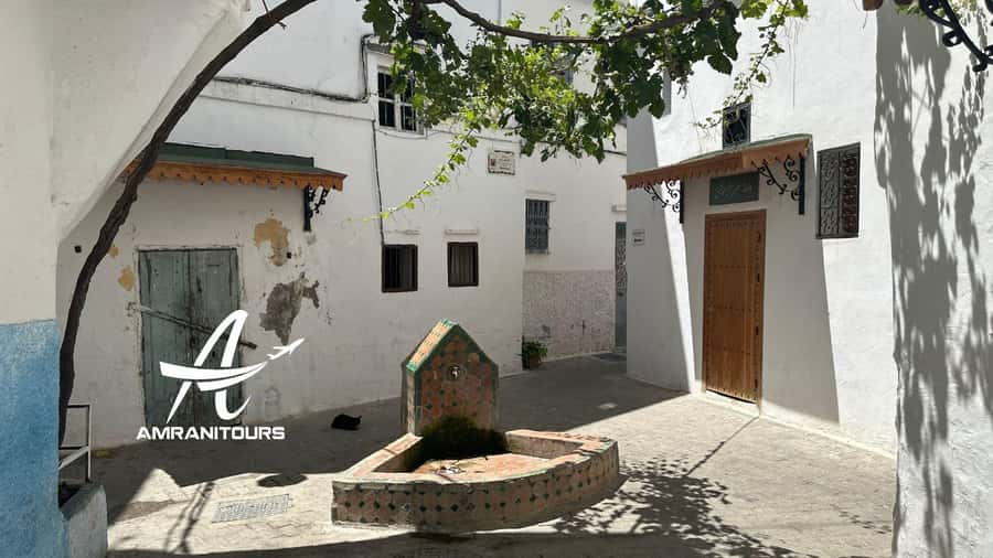 Day trip from Gibraltar to Morocco All Inclusive - Price and value: is $408 for a day trip fair?