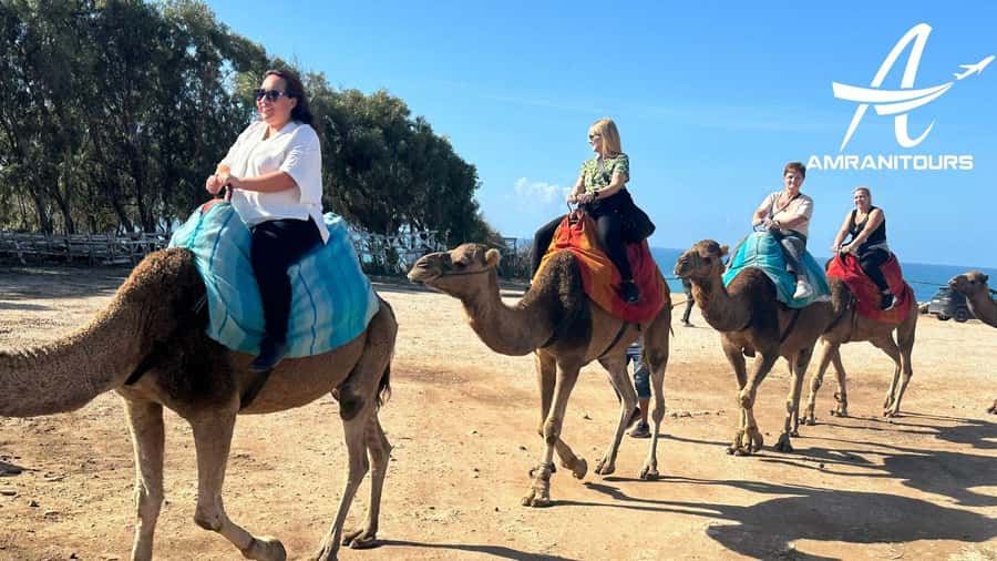 Day trip from Gibraltar to Morocco All Inclusive - Achakkar Beach camel ride option: fun, but pick your comfort level