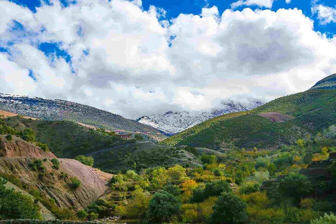 Day Trip from Marrakech Explore the Atlas Mountains and 4 Valleys - Leaving Marrakech for the High Atlas, with less stress