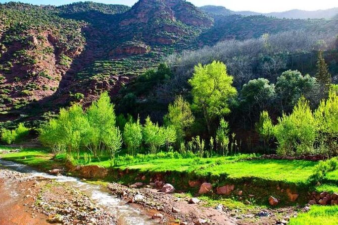 Day Trip from Marrakech Explore the Atlas Mountains and 4 Valleys - Ourika Valley: village life plus your included entry ticket