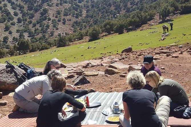 Day trip from Marrakech to atlas mountains & Berber village hike - The Main Hike: Waterfalls, Hamlets, and Ait Mizan