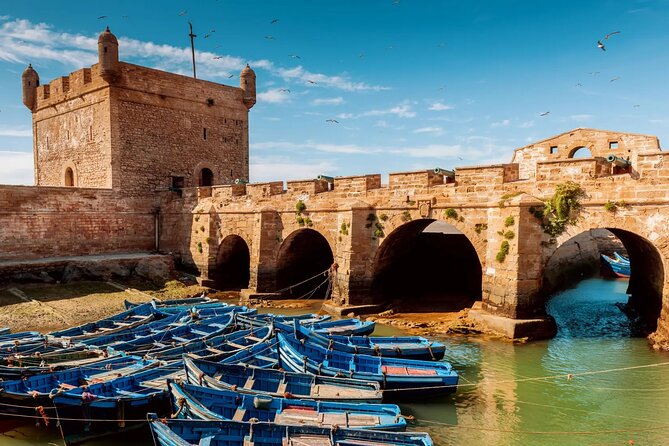 Day Trip from Marrakech to Essaouira - Key Highlights at a Glance