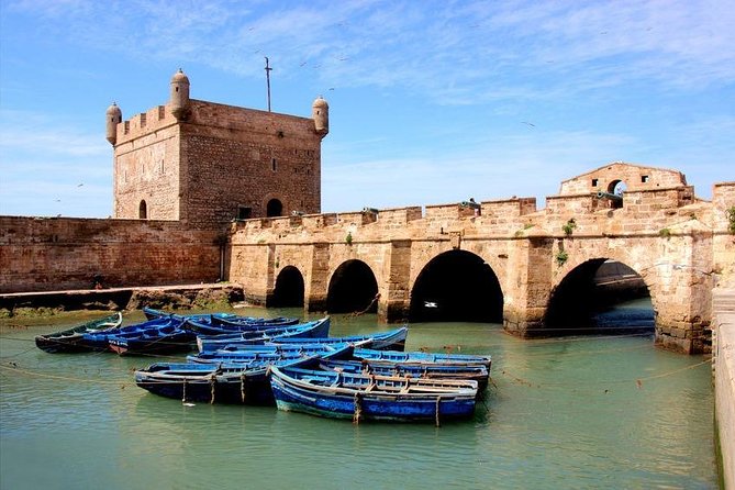 Day Trip from Marrakech to Essaouira - The Famous Goat Photo Moment and How to Time It Right