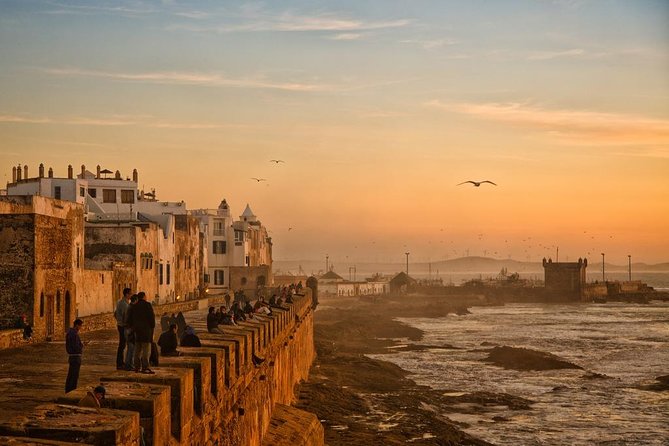 Day Trip from Marrakech to Essaouira - Seafood and Open-Air Lunch Options You Control