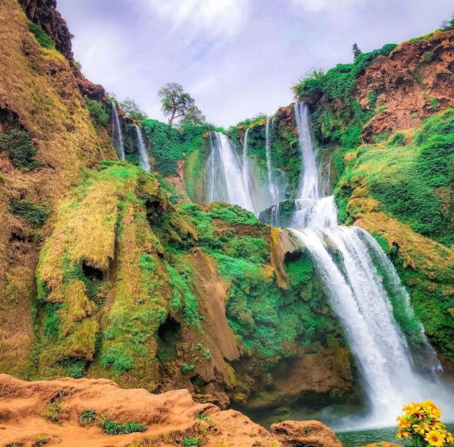 Day trip from Marrakech to Ouzoud Waterfalls - Timing, pace, and what to pack for a waterfall hike