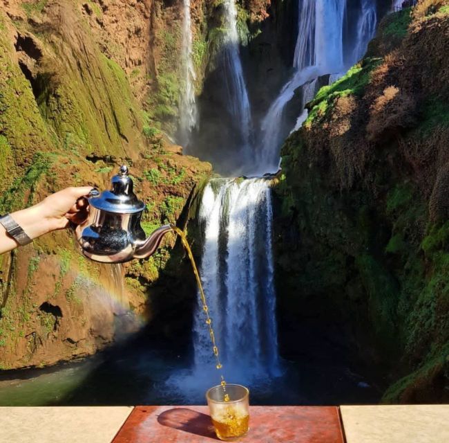 Day trip from Marrakech to Ouzoud Waterfalls - Monkey spotting without the hype