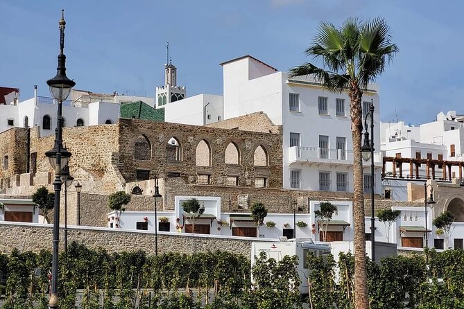 Day Trip From Tarifa To Tangier All Inclusive - Medina of Tangier and the souk: where you get the texture of daily life