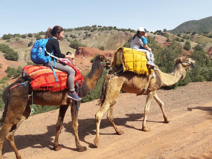 Day Trip To Atlas Mountain and Berber Village From Marrakech - What to bring (so the hike feels good, not annoying)