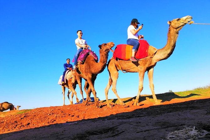 Day trip to Atlas Mountains and 4 Valley with Camel ride from Marrakech - Imlil Valley and the Berber villages: walking through real routines