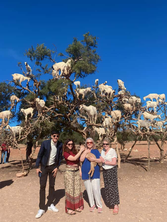 Day trip to Essaouira - Key things I’d focus on before you go