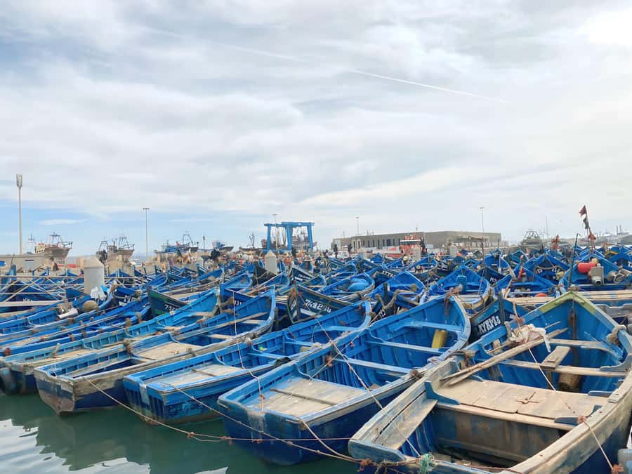 Day trip to Essaouira - Atlantic Wind, Blue Boats, and a Pirate-Town Feel
