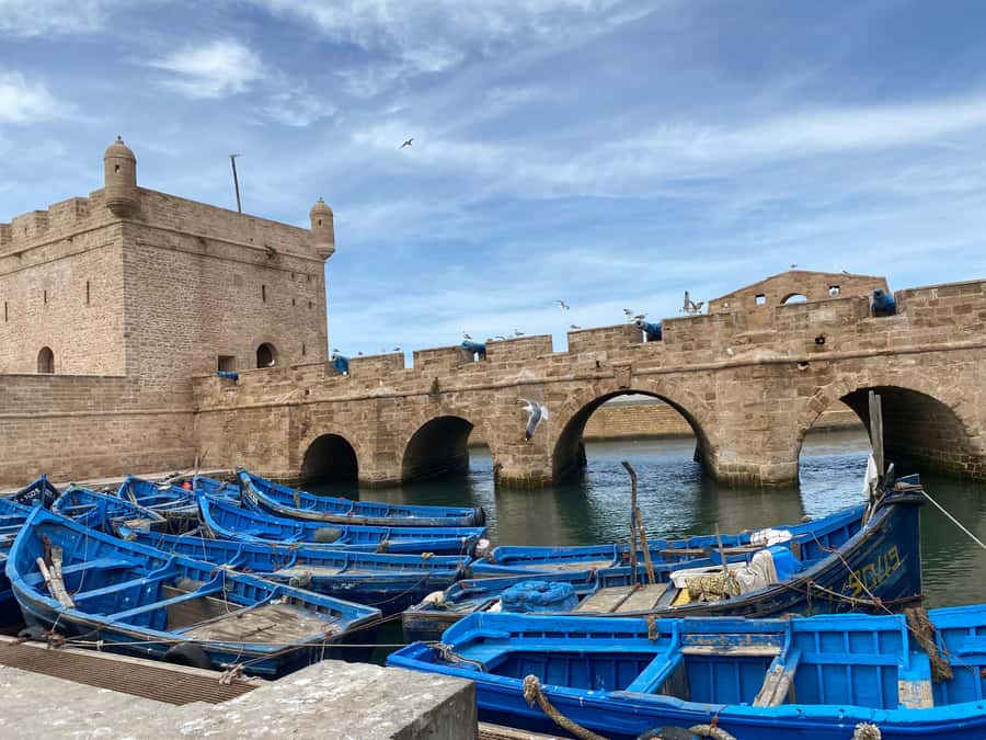 Day trip to Essaouira - Roadside Stops Worth Getting Out For (Bathroom, Photos, Argan, Goats on a Tree)