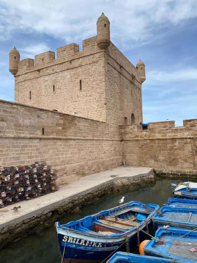 Day trip to Essaouira - Essaouira First Look: Historic Ports, Fortress Walls, and Bronze Cannons