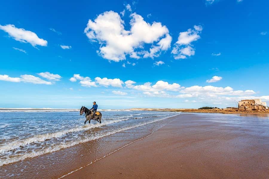 Day Trip To Essaouira From Marrakech With Guide - Final call: should you book this Essaouira day trip from Marrakech?