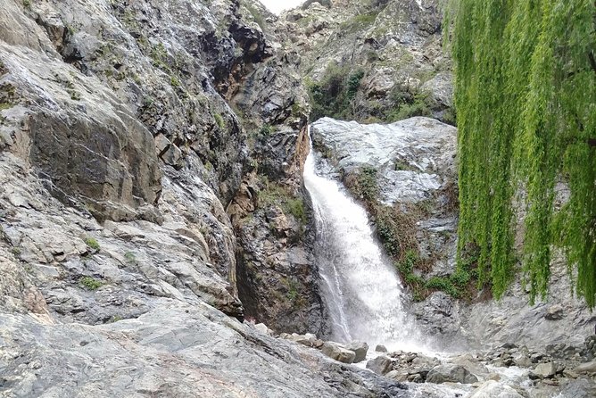 Day Trip to Ourika Valley and Atlas Mountains - Key highlights (what makes this day trip work)