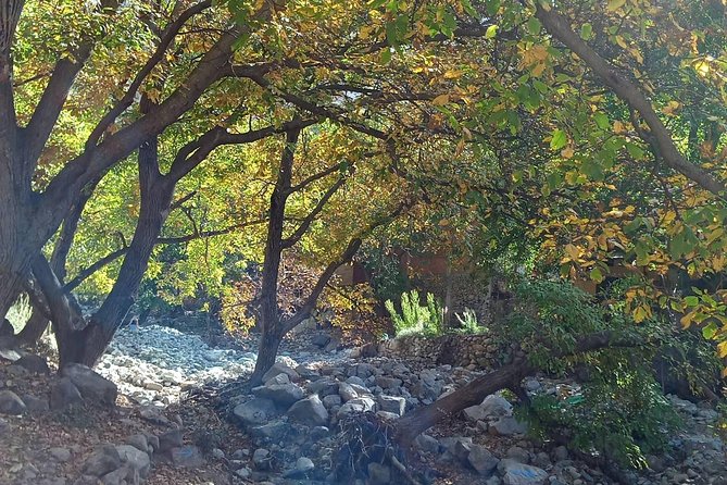 Day Trip to Ourika Valley and Atlas Mountains - The Berber house visit and pottery workshop stops