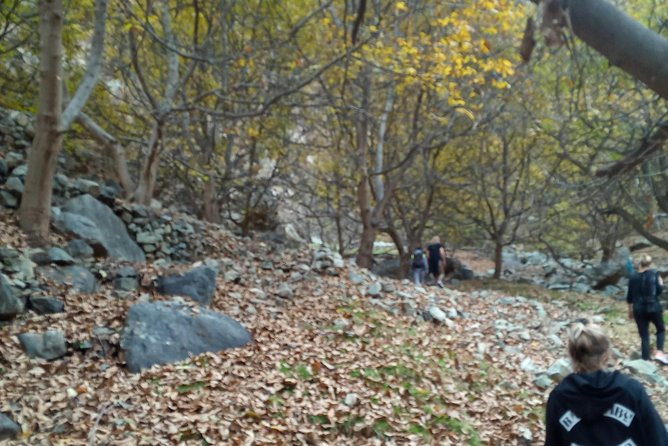 Day Trip to Ourika Valley and Atlas Mountains - Guides like Hassan, Mohamed, and Ayoub make the difference