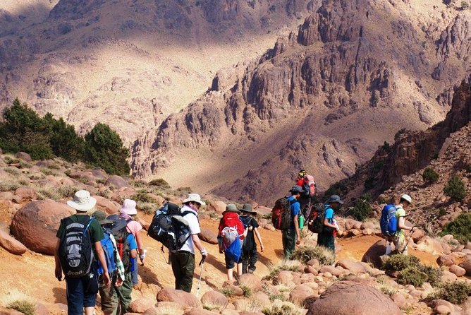 Day trip to Ourika valley and Berber villages - Who Should Book This Tour, and Who Might Skip It