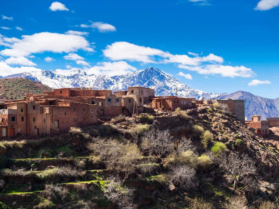 Day Trip to Ourika Valley & Atlas Mountains with Lunch - Setti Fadma waterfalls, with a guided walk that changes the day