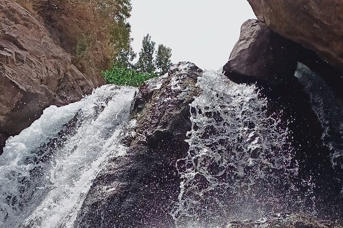 Day trip to Ourika Valley from Marrakech - The Ride South: Comfort, Timing, and What to Expect