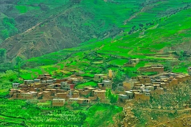 Day trip to Ourika Valley from Marrakech - Price and Value: What $33.68 Really Buys You