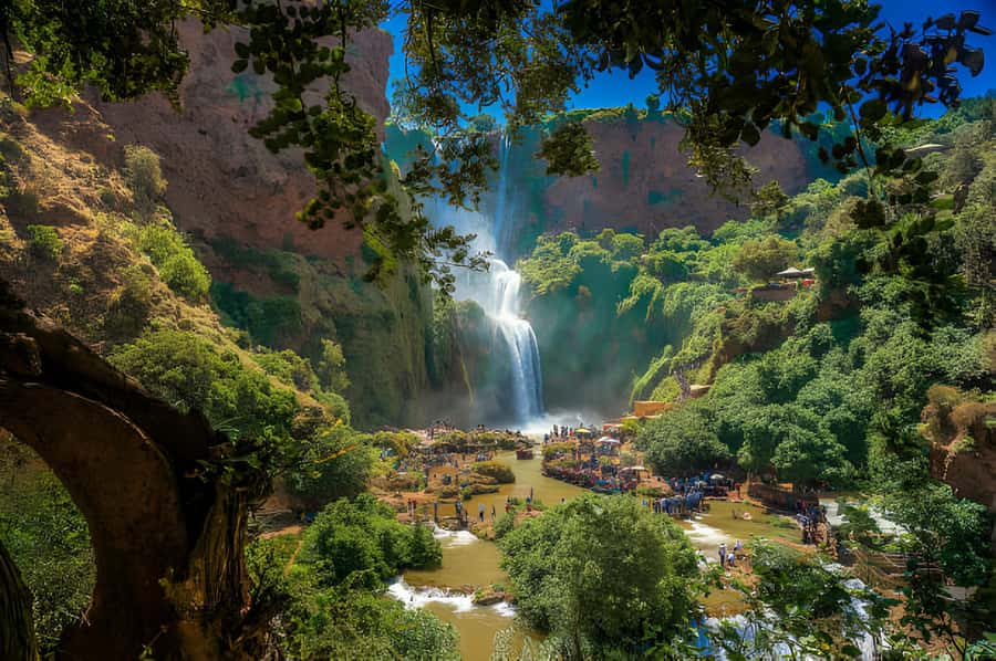 Day Trip To Ouzoud Waterfalls (Guide Hik & Boat option) - The guide makes the difference, and the names come up for a reason