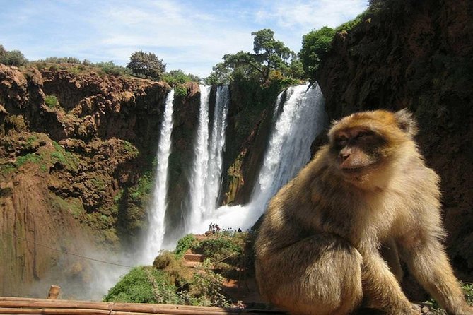 Day Trip To Ouzoud Waterfalls (Guide Hike & Boat are options) - Boat Ride Option: A Different Angle for the Same Waterfall