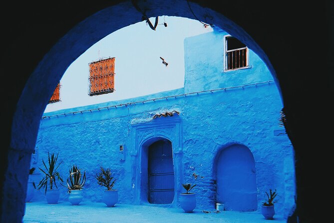 Day Trip To The Blue City & Akchour Waterfalls - A one-day combo of Chefchaouen blues and Akchour falls
