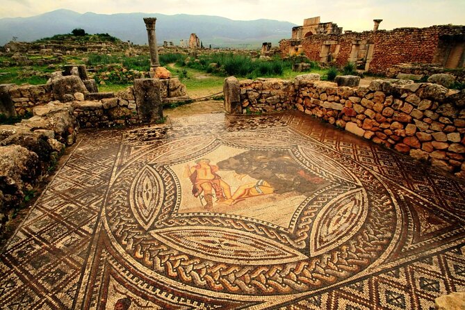 Day trip to Volubilis - Moulay Idriss & Meknes From Fes - What kind of traveler this tour suits best