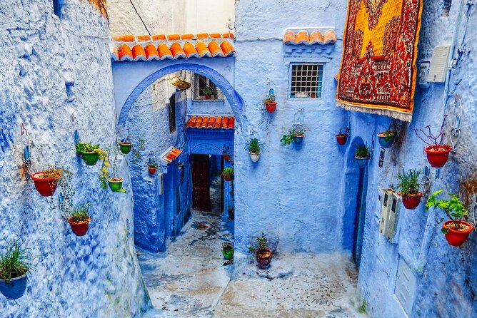 Day Trip Transport from Fes to Chefchaouen (The Blue City) - Who this day trip suits best, and who should choose something else