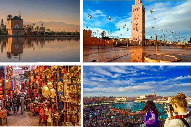 Day Trips from Agadir to Marrakech with Amazing guide - Menara Gardens: Shade, Water, and a Breather Between Sight Stops