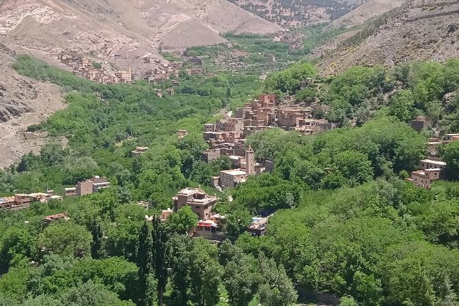 De Marrakech: Visite des montagnes de l'Atlas avec un guide - Road Stops You Will Actually Remember: Azrou and Argan Oil