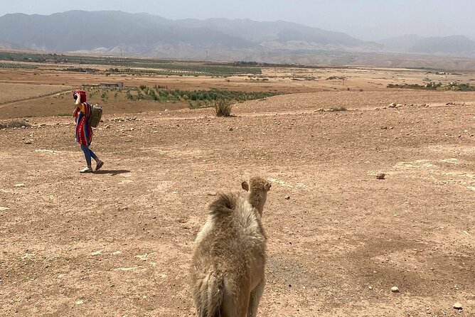 Desert Agafay and Atlas Mountains Day Tour & Camel ride From Marrakech - Should you book Desert Agafay and Atlas Mountains day tour with camel ride?