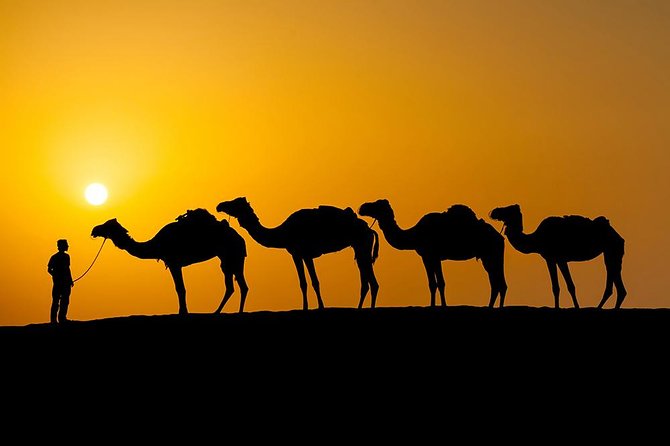 Desert Agafay And Atlas Mountains & Waterfalls Day Trip from Marrakech - Price and meals: how $22.07 can add up to a lot