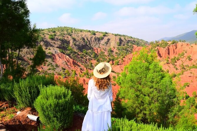 Desert Agafay And Atlas Mountains & Waterfalls Day Trip from Marrakech - Who should book, and who should think twice