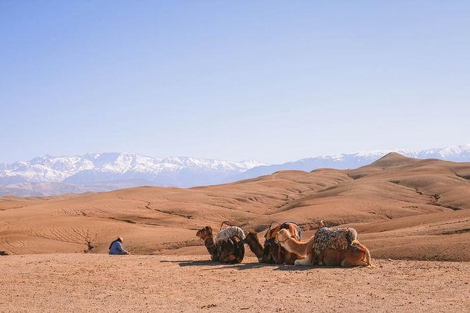 Desert Agafay And Atlas Mountains & Waterfalls Day Trip from Marrakech - Getting out of Marrakech: pickup, timing, and what to plan for