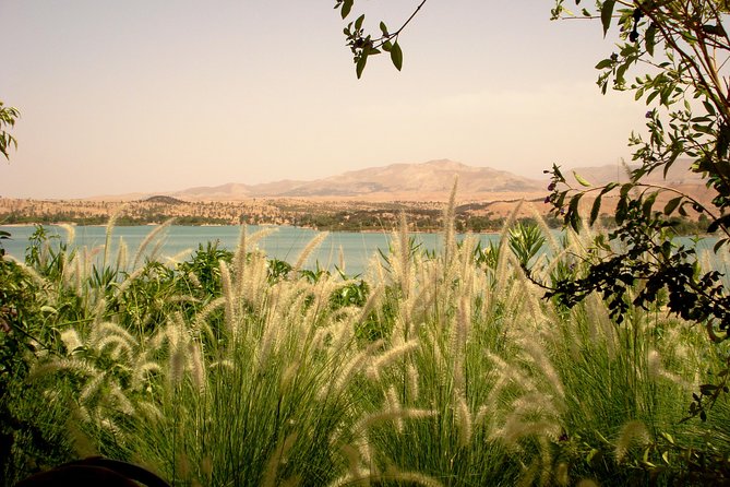 Desert Agafay & Atlas Mountains Day Trip from Marrakech (Min.2 p) - Price and value: is $139.37 a fair deal?