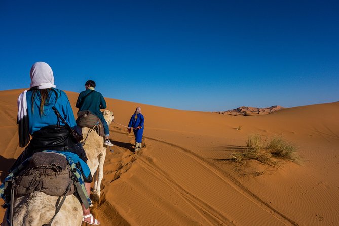 Desert Agafay & Atlas Mountains, Valleys & Waterfalls Tour from Marrakech - Camel ride and the argan stop adds variety
