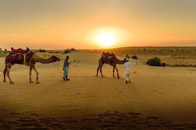 Desert Agafay & Atlas Mountains, Valleys & Waterfalls Tour from Marrakech - Price, value, and budgeting for meals and tips