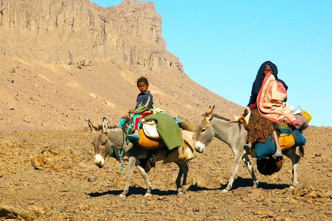 Desert Agafay & Atlas Mountains, Valleys & Waterfalls Tour from Marrakech - Should you book this Desert Agafay and Atlas Mountains tour?