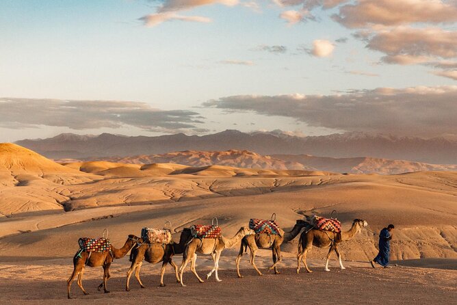 Desert Agafay Dinner Show and Camel Ride with Magical view - Marrakech to Agafay: A 5-hour break from city life