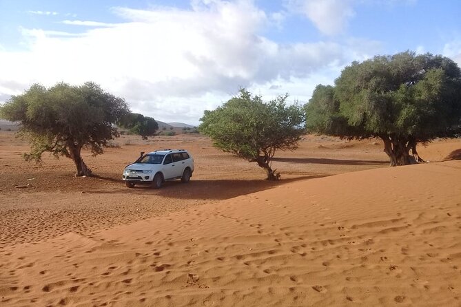 Desert and Ocean Private Day Tour - Tifnit village walk and the sand dunes near Agadir