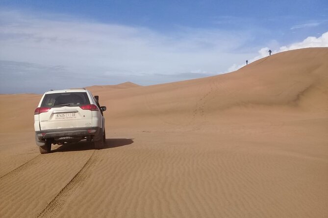 Desert and Ocean Private Day Tour - Souss Massa National Park and the river moment